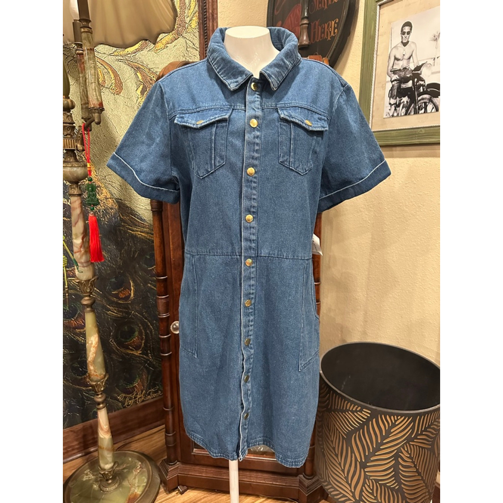 Women's ALEXIA ADMOR Blue Denim Mini Dress XL